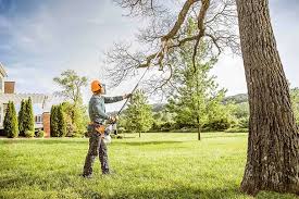 Best Lot and Land Clearing  in Chicopee, MA